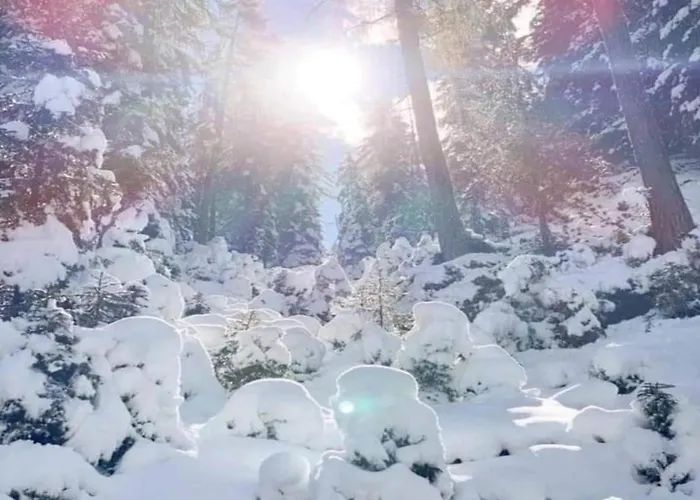 In Neustift Near Stubai Glacier Apartment *